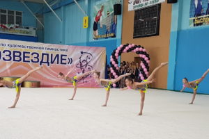 Открытый турнир по художественной гимнастике «Созвездие»