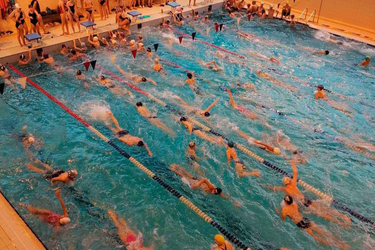 Чемпионат Самарской области по плаванию