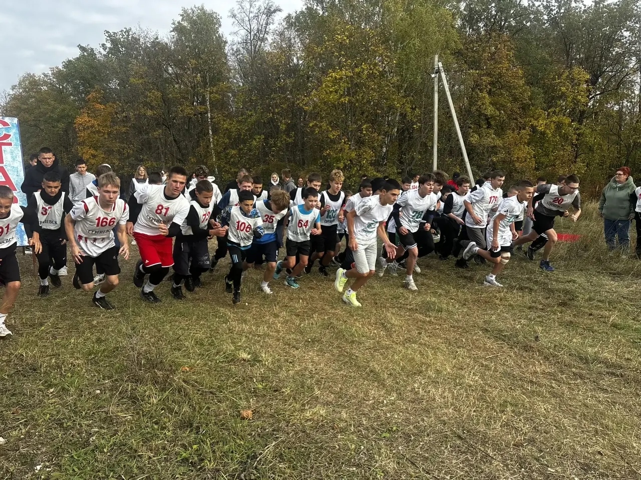 соревнования школьной спортивной лиги по легкоатлетическому кроссу